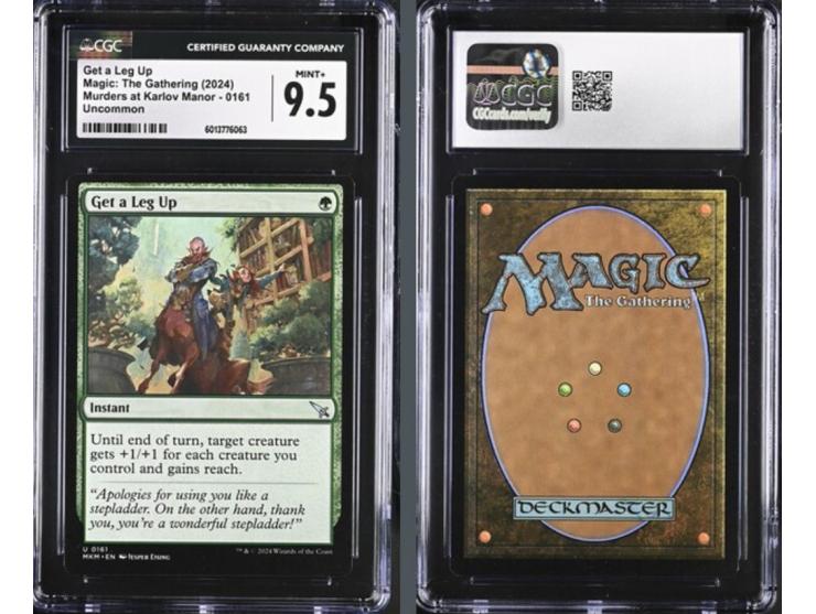 This curated set of four cards is a magnificent visual feast, paying homage to the natural and investigative core of the 2024